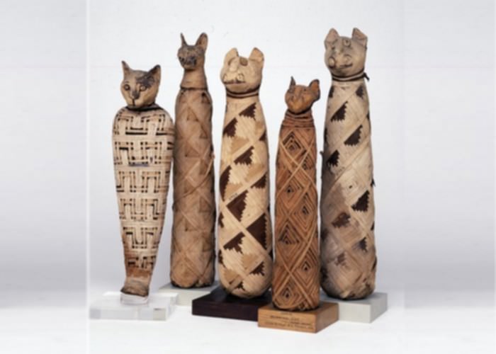 Mumie dla kotów, Egipt 30 pne