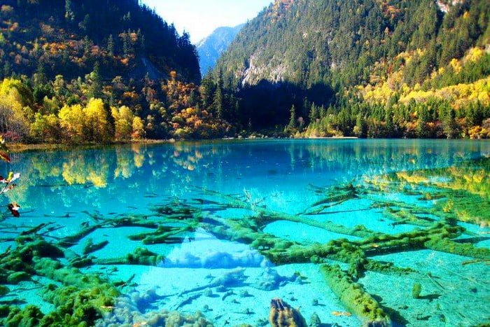 Krystaliczne Turkusowe Jezioro, Park Narodowy Jiuzhaigou, Chiny.