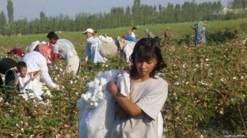 Współczesne niewolnictwo w Uzbekistanie
