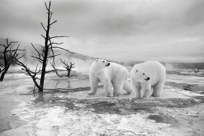 10 największych pustyń na świecie polar