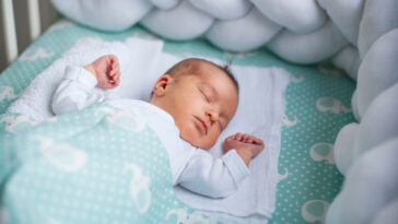 shutterstock 1539323027